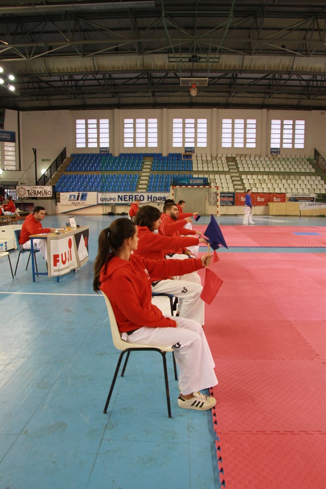 Taekwondo Dic 2016 (140).jpg